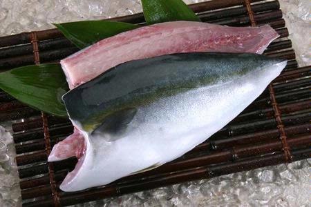 Hamachi Fillet 5.5lb