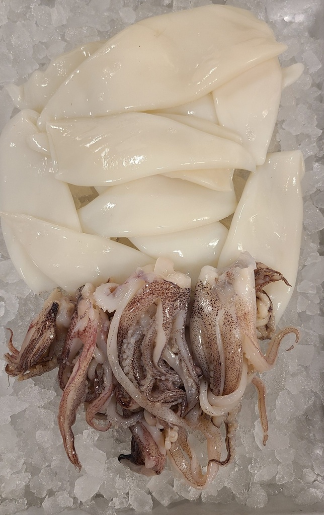 Squid tubes/tentacles 5-8'' 20x2.5lb